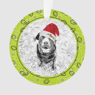 Groene Bandana Huisdier Fotonaam Kerstmis Plezier Ornament
