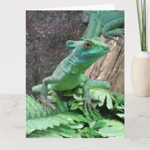Groene Basilisk Kaart