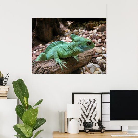 Groene Basilisk Poster (Thuiskantoor)