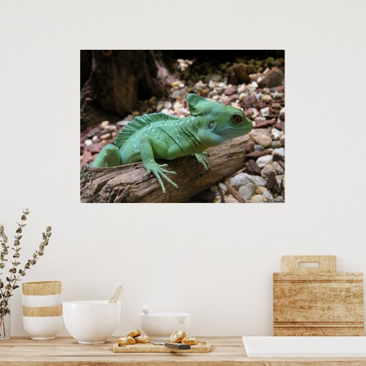Groene Basilisk Poster (Keuken)