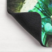 Groene basilisshagedis muismat (Hoek)