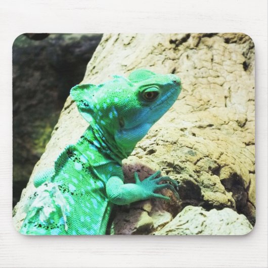 Groene basilisshagedis muismat (Voorkant)