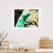 Groene basilisshagedis poster (Keuken)