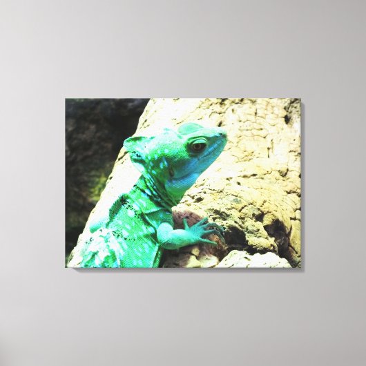 Groene basilisszard reptiel canvas afdruk (Voorkant)