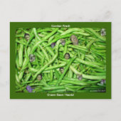 Groene Bean-hoofden! Briefkaart (Voorkant)