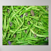 Groene Bean-koppen afdrukken Poster (Voorkant)