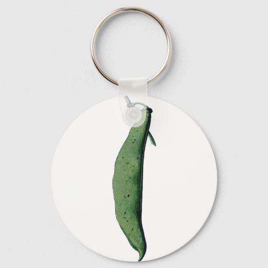 Groene Bean Sleutelhanger (Voorkant)