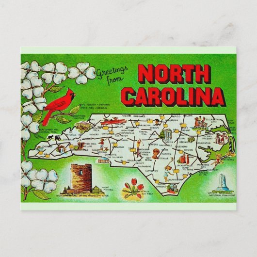 Groene begroeting uit North Carolina Briefkaart (Voorkant)