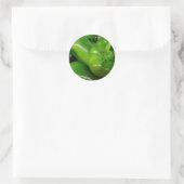 Groene Bell Peppers Gift Range Ronde Sticker (Tas)