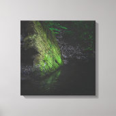 Groene bemoste rots met reflectie in water canvas afdruk (Voorkant)