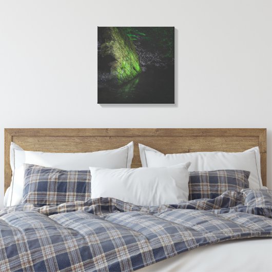 Groene bemoste rots met reflectie in water canvas afdruk (Insitu (Slaapkamer))