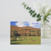 Groene bergen en paarden in het najaar briefkaart (Staand voorkant)