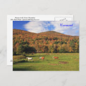 Groene bergen en paarden in het najaar briefkaart (Voorkant / Achterkant)