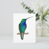 Groene bergkolibrie briefkaart (Staand voorkant)