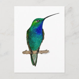 Groene bergkolibrie briefkaart