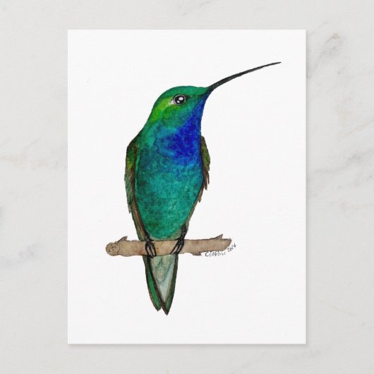 Groene bergkolibrie briefkaart (Voorkant)