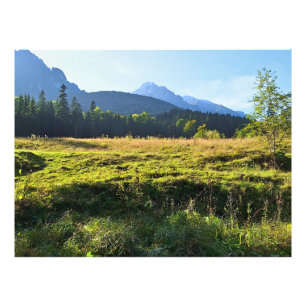 Groene Bergweide – Wilde Natuur Roemenië Foto Afdruk