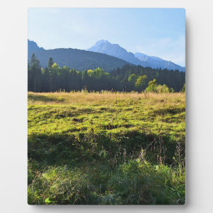 Groene Bergweide – Wilde Natuur Roemenië Fotoplaat