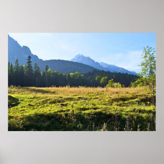 Groene Bergweide – Wilde Natuur Roemenië Poster