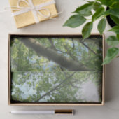 groene berk op boom tegen blauwe lucht tissuepapier (Geschenk)