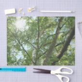groene berk op boom tegen blauwe lucht tissuepapier (Craft)