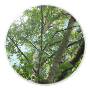 groene berk tegen blauwe hemel keramische knop