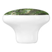 groene berk tegen blauwe hemel keramische knop (Zijkant)