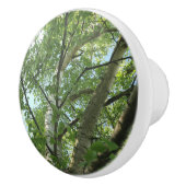 groene berk tegen blauwe hemel keramische knop (Rechts)