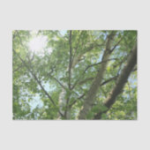 groene berk tegen blauwe hemel tissuepapier (Voorkant)