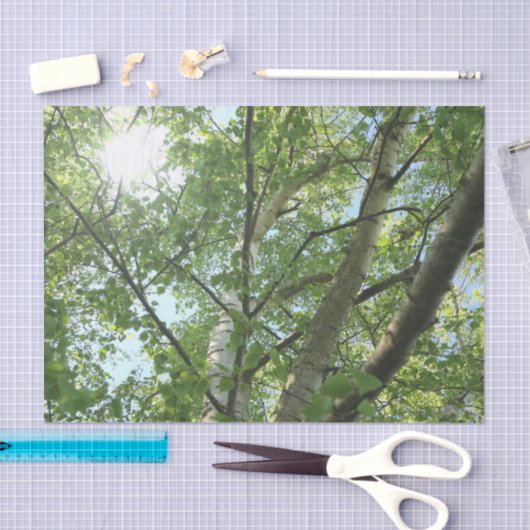 groene berk tegen blauwe hemel tissuepapier (Craft)