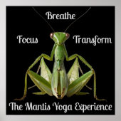 Groene Bidden Mantis Yoga gepersonaliseerd Poster (Voorkant)