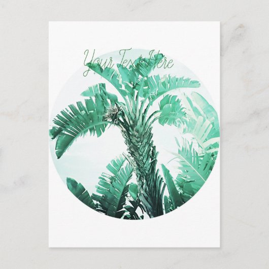 Groene blad bananenplant briefkaart (Voorkant)