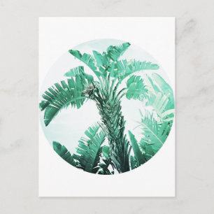 Groene blad bananenplant briefkaart
