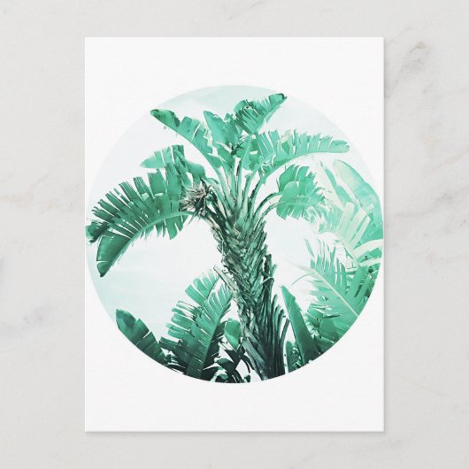 Groene blad bananenplant briefkaart (Voorkant)