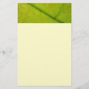 Groene Blad Botanische Natuurfotografie Briefpapier
