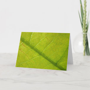 Groene Blad Botanische Natuurfotografie Kaart
