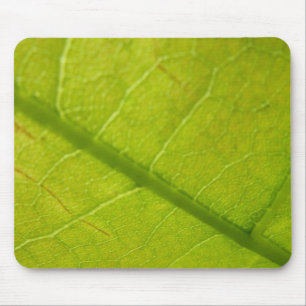 Groene Blad Botanische Natuurfotografie Muismat