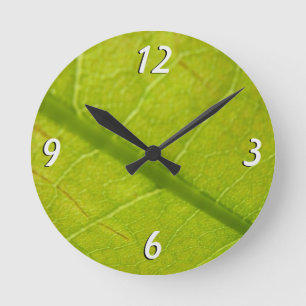 Groene Blad Botanische Natuurfotografie Ronde Klok