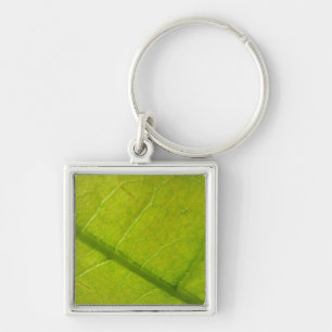 Groene Blad Botanische Natuurfotografie Sleutelhanger