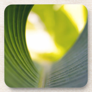 Groene blad drankjes onderzetter
