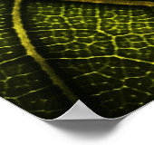 Groene blad in close-up fotografie poster (Hoek)
