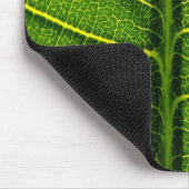 Groene blad muismat (Hoek)