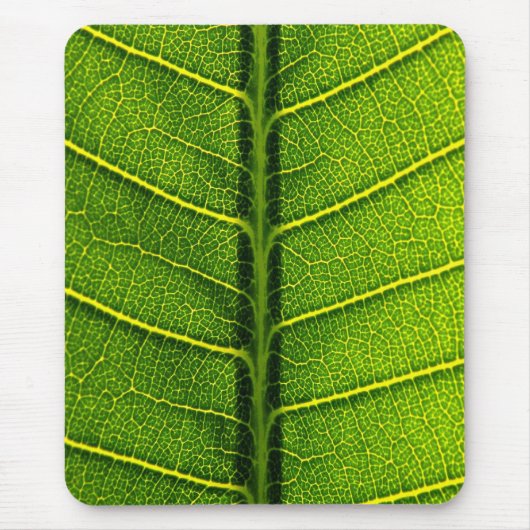 Groene blad muismat (Voorkant)