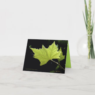 Groene blad notitiekaarten