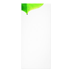 Groene Blad Rekkaart Reclamekaart