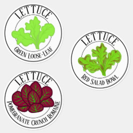 Groene blad-, Romeinse en rode salade sla Labels