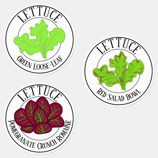 Groene blad-, Romeinse en rode salade sla Labels (Groep)