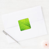 Groene Blad Stickers (Envelop)