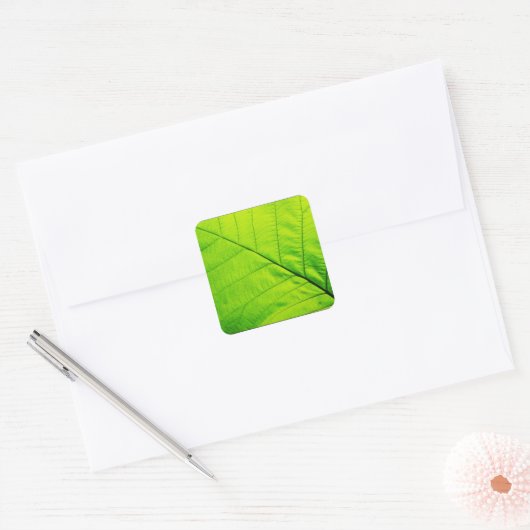 Groene Blad Stickers (Envelop)