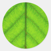 Groene Blad Stickers (Voorkant)